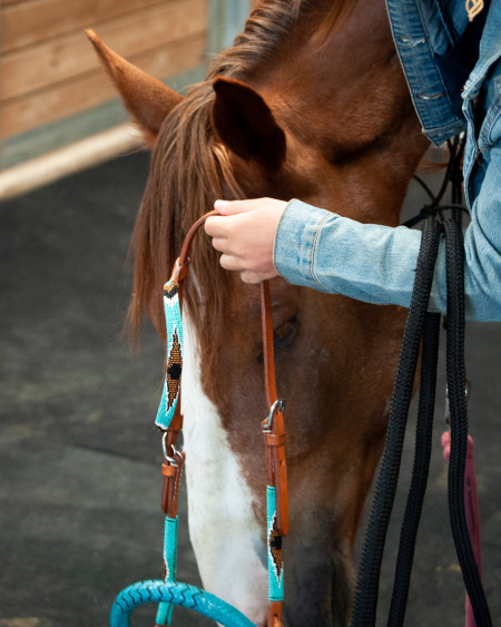 Tango Mustang Photo #11