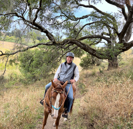 Tango Mustang Photo #7