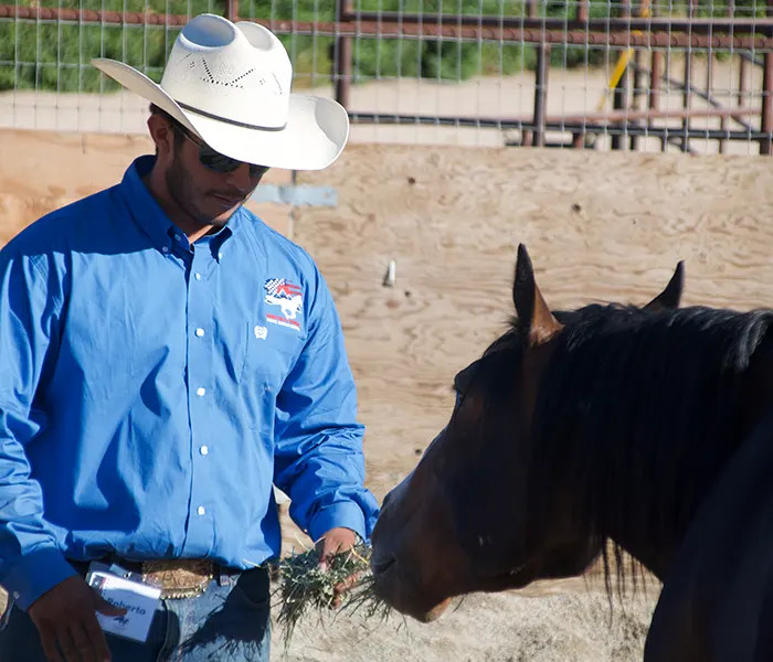 Roberto Feeding Mustang