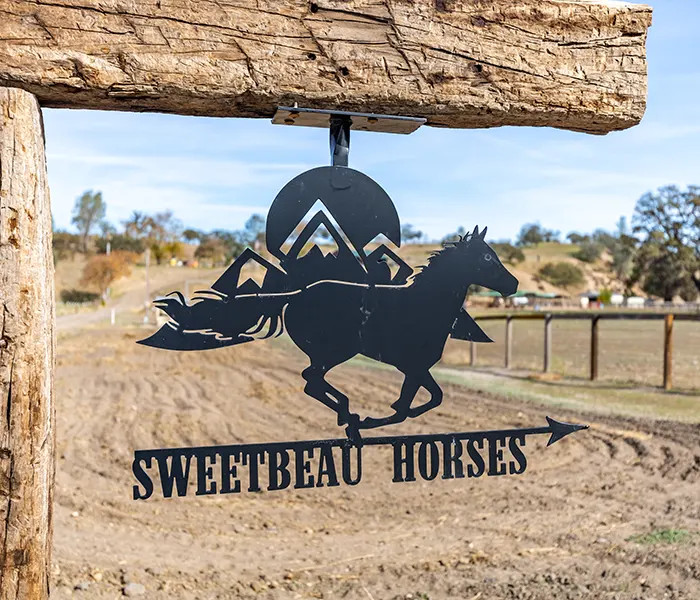 Sweetbeau Horses Sign