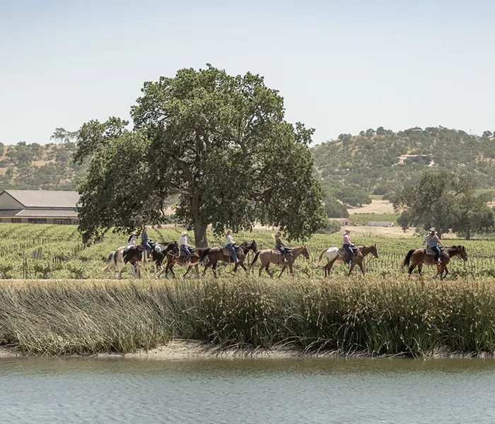 Wine Tasting Tour Ride